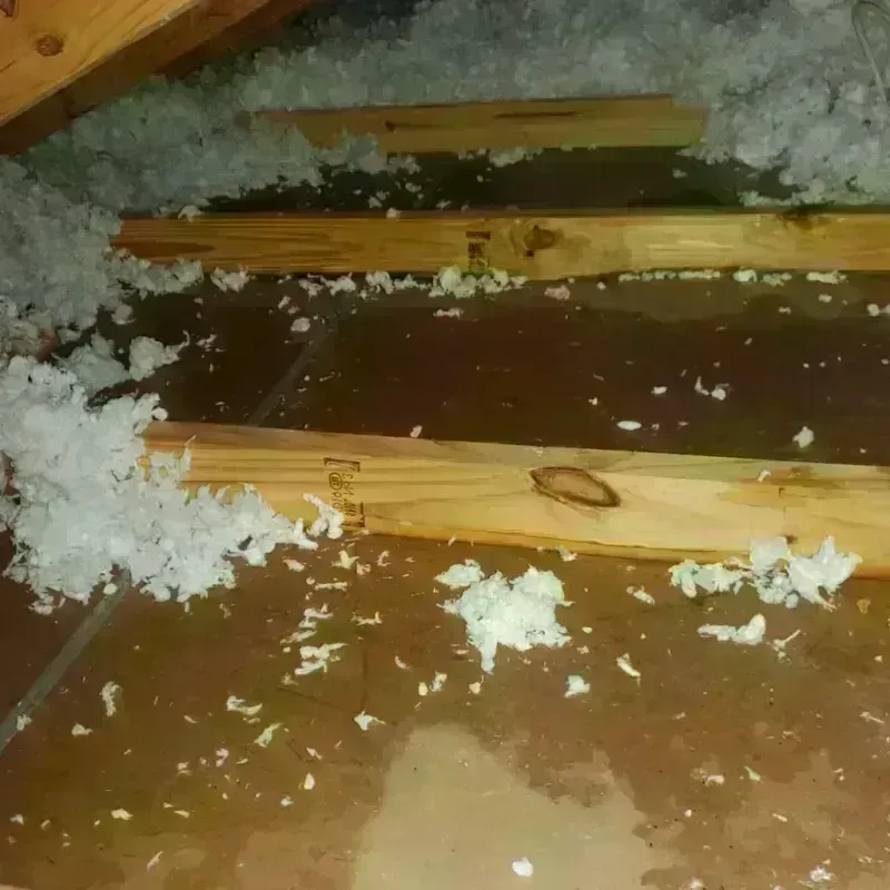 Attic Water Damage in Blythe, CA