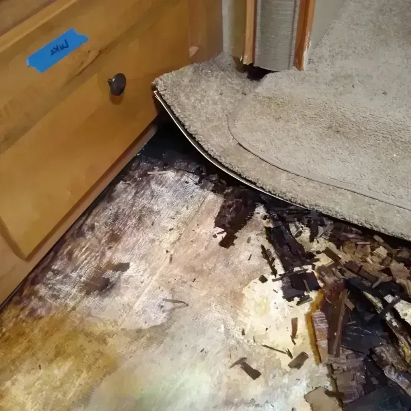 Wood Floor Water Damage in Blythe, CA